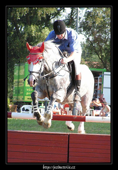 Veřejný trénink Brozany, 24.6.2006