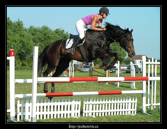 Veřejný trénink Brozany, 24.6.2006