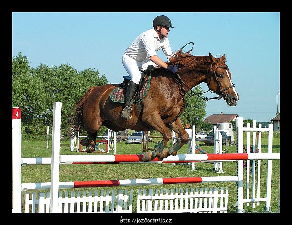 Veřejný trénink Brozany, 24.6.2006