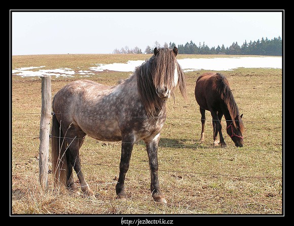 Hajnice u Trutnova, březen 2005