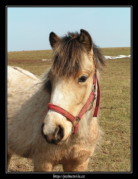 Hajnice u Trutnova, březen 2005