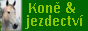 Časopis Koně & hříbata