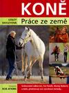 Bayleyov� Lesley - Kon�. Pr�ce ze zem�