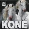 Gabriele BOISELLE, Henry DALLAL, Attila KORBELY, Paolo MANILI, Senio SENSI, Medford TAYLOR - Kon�