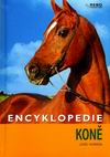 Jos�e Hermsen - Encyklopedie - Kon�